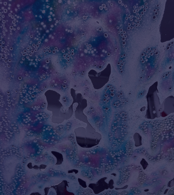 Tri-foam image